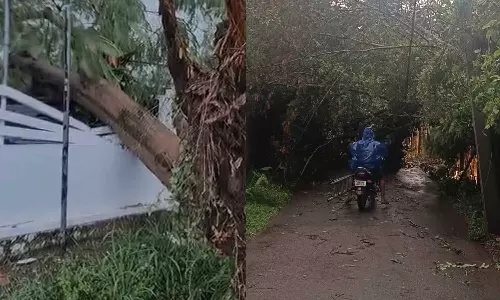 സംസ്ഥാനത്ത് പരക്കെ മഴ; ചാലക്കുടിയിലും മലയാറ്റൂരിലും വ്യാപക നഷ്ടം സംസ്ഥാനത്ത് പരക്കെ മഴ; ചാലക്കുടിയിലും മലയാറ്റൂരിലും വ്യാപക നഷ്ടം