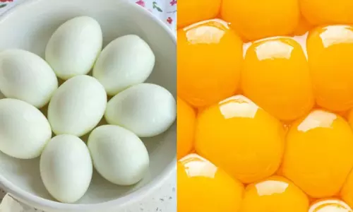 തടി കുറയ്ക്കാനും മസിലിനും ബെസ്റ്റ് ഏത്? മുട്ടയുടെ മഞ്ഞയോ അതോ വെള്ളയോ? തടി കുറയ്ക്കാനും മസിലിനും ബെസ്റ്റ് ഏത്? മുട്ടയുടെ മഞ്ഞയോ അതോ വെള്ളയോ?