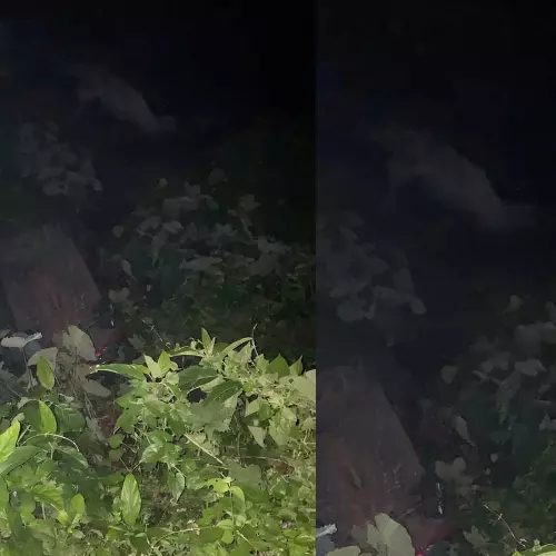 കോഴിക്കോട്ട് കാർ കൊക്കയിലേക്ക് മറിഞ്ഞ് ഒരാൾ മരിച്ചു