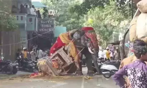 ദസറയ്ക്കിടെ അടിതെറ്റി വീണ ആന വിരണ്ടോടി; പരിഭ്രാന്തരായി ജനം ദസറയ്ക്കിടെ അടിതെറ്റി വീണ ആന വിരണ്ടോടി; പരിഭ്രാന്തരായി ജനം