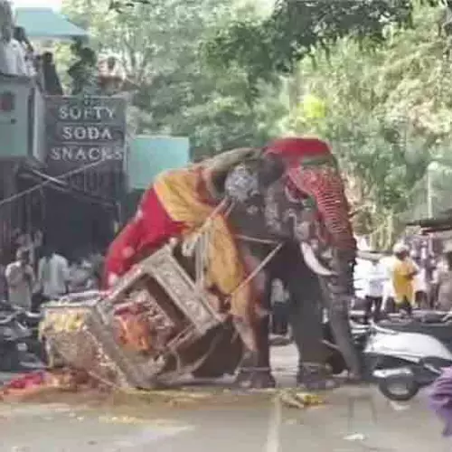 ദസറയ്ക്കിടെ അടിതെറ്റി വീണ ആന വിരണ്ടോടി; പരിഭ്രാന്തരായി ജനം