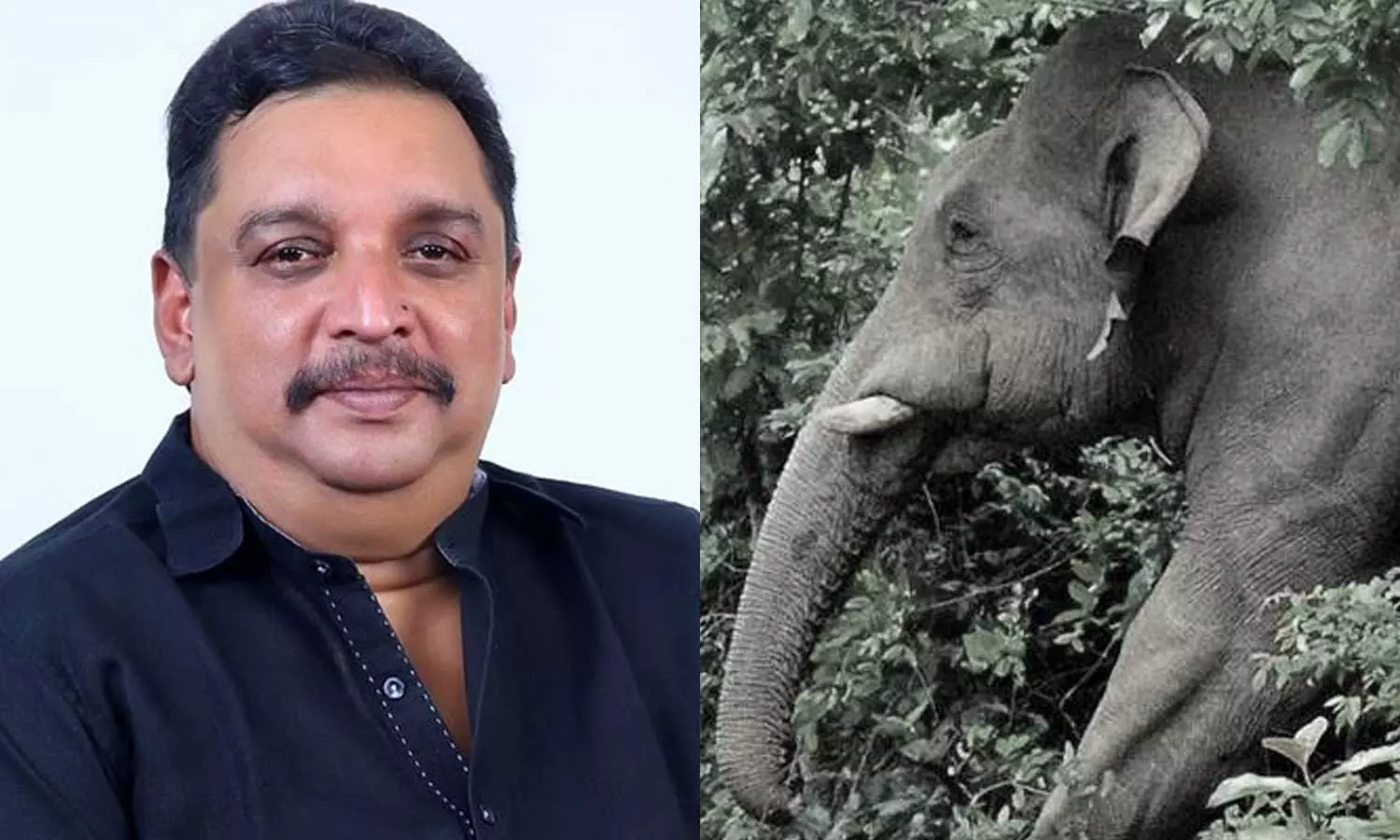 വന്യജീവി ആക്രമണം; കൃഷിനാശത്തിന്റെ നഷ്ടപരിഹാര തുക 100 ശതമാനം വര്ധിപ്പിച്ചു വന്യജീവി ആക്രമണം; കൃഷിനാശത്തിന്റെ നഷ്ടപരിഹാര തുക 100 ശതമാനം വര്ധിപ്പിച്ചു
