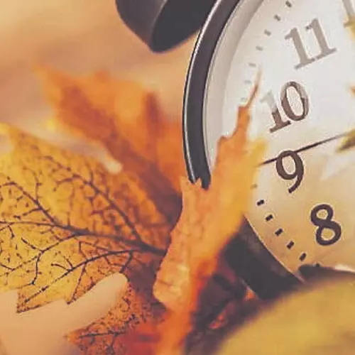 what is october theory
