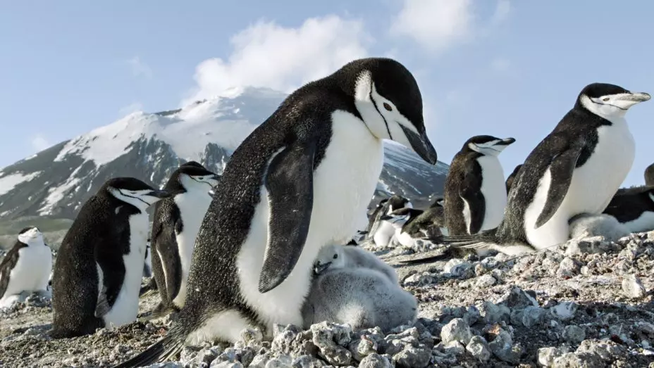 ഒരു നിമിഷം കൊണ്ട് മിന്നിമായുന്ന പ്രകൃതിയുടെ അത്ഭുതം ഒരു നിമിഷം കൊണ്ട് മിന്നിമായുന്ന പ്രകൃതിയുടെ അത്ഭുതം