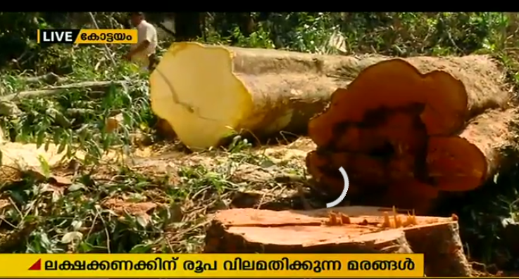 എംജി സര്‍വ്വകലാശാലയില്‍ വീണ്ടും അനധികൃത മരംമുറി