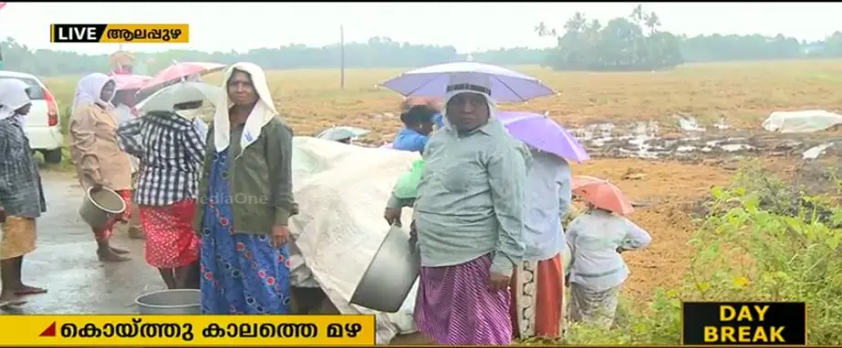 കൊയ്ത്തുകാലത്ത് മഴ: കുട്ടനാട്ടില്‍ നെല്‍കര്‍ഷകര്‍ ദുരിതത്തില്‍