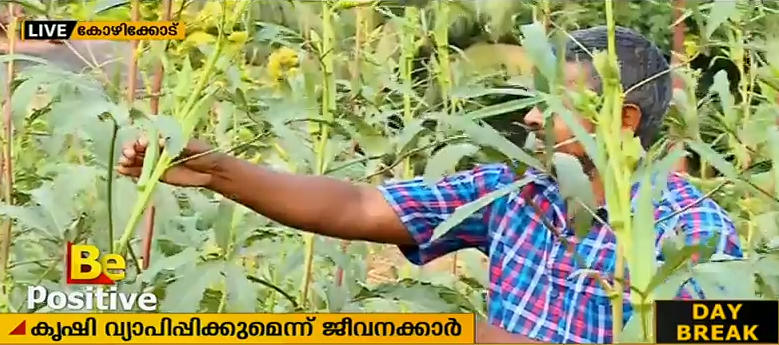 ഓഫീസ് മുറ്റത്ത് കൃഷിയൊരുക്കി ഹോര്‍ട്ടികോര്‍പ്പ് ജീവനക്കാര്‍