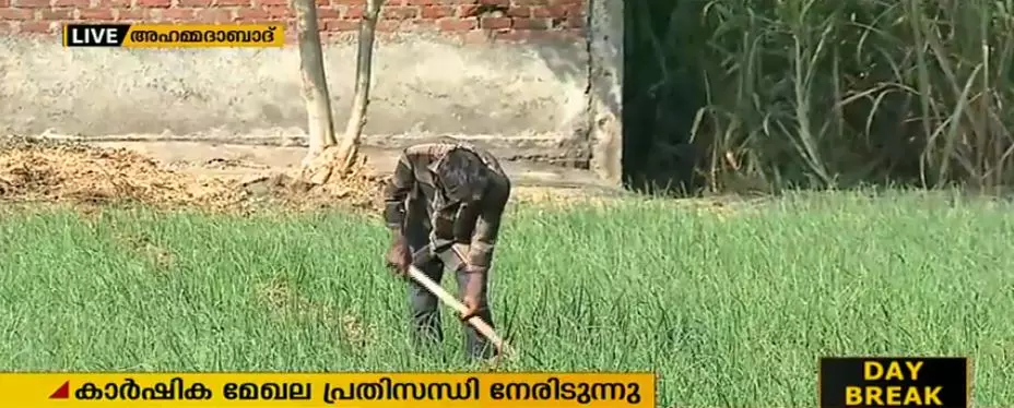 ഗുജറാത്തിലെ കര്ഷകര് ഇന്നും ദുരിതത്തില് ഗുജറാത്തിലെ കര്ഷകര് ഇന്നും ദുരിതത്തില്