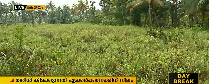 തരിശ് നിലങ്ങള് കൃഷി ചെയ്യണം: കൃഷി വകുപ്പിനെതിരെ സിപിഎം പ്രമേയം തരിശ് നിലങ്ങള് കൃഷി ചെയ്യണം: കൃഷി വകുപ്പിനെതിരെ സിപിഎം പ്രമേയം