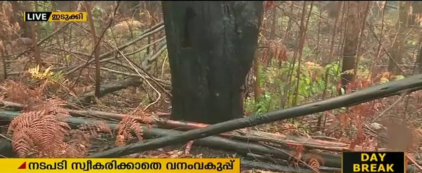 നീലക്കുറിഞ്ഞി ഉദ്യാനത്തില്‍ തീപടര്‍ന്ന സംഭവം; അന്വേഷണമില്ല, നടപടിയുമില്ല