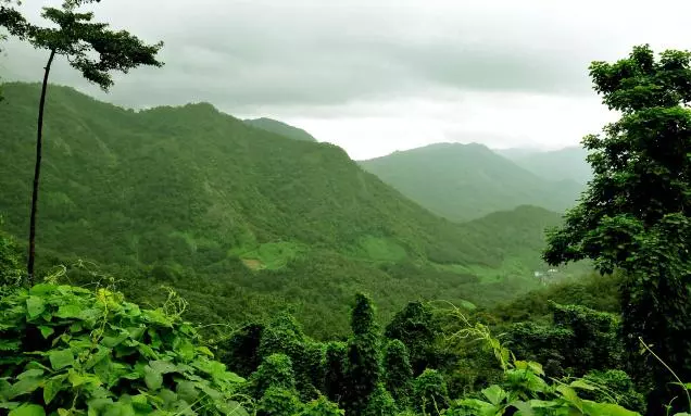 കസ്തൂരിരംഗന് വിജ്ഞാപനം പുതുക്കി ഇറക്കാന് അനുമതി കസ്തൂരിരംഗന് വിജ്ഞാപനം പുതുക്കി ഇറക്കാന് അനുമതി