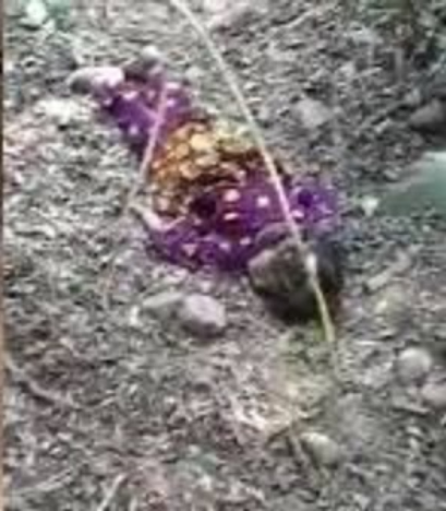 മീററ്റില്‍ പഠിക്കുന്ന വിദ്യാര്‍ഥി ആ എട്ടുവയസ്സുകാരിയെ ബലാത്സംഗം ചെയ്യാനായി മാത്രം ജമ്മുവിലേക്ക് വന്നെന്ന് കുറ്റപത്രം