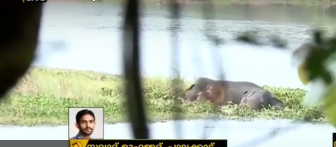 നാടുകാണാനിറങ്ങിയ കാട്ടാനകളെ തിരികെ കാട്ടിലെത്തിക്കാനുള്ള ശ്രമം തുടരുന്നു