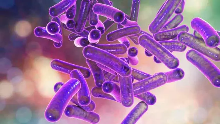 കോഴിക്കോട് കുട്ടിയുടെ മരണം, ഷിഗെല്ല ബാധിച്ചല്ലെന്ന് സ്ഥിരീകരിച്ചു കോഴിക്കോട് കുട്ടിയുടെ മരണം, ഷിഗെല്ല ബാധിച്ചല്ലെന്ന് സ്ഥിരീകരിച്ചു