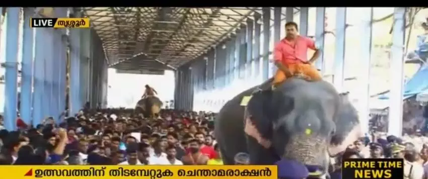 ആനയോട്ട മത്സരത്തില് ചെന്താമരാക്ഷന് വിജയി ആനയോട്ട മത്സരത്തില് ചെന്താമരാക്ഷന് വിജയി
