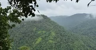 പരിസ്ഥിതി ലോല മേഖലകളില്, ഒരു കിലോമീറ്റര് ചുറ്റളവിലെ ജനവാസ മേഖലകളെ ഒഴിവാക്കണമെന്ന് കേരളം പരിസ്ഥിതി ലോല മേഖലകളില്, ഒരു കിലോമീറ്റര് ചുറ്റളവിലെ ജനവാസ മേഖലകളെ ഒഴിവാക്കണമെന്ന് കേരളം