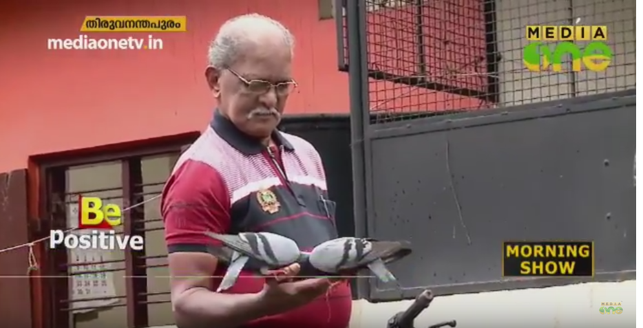 പ്രാവുകളുടെ ചങ്ങാതി