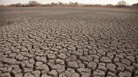 ഇടുക്കി വരളുന്നു ഇടുക്കി വരളുന്നു