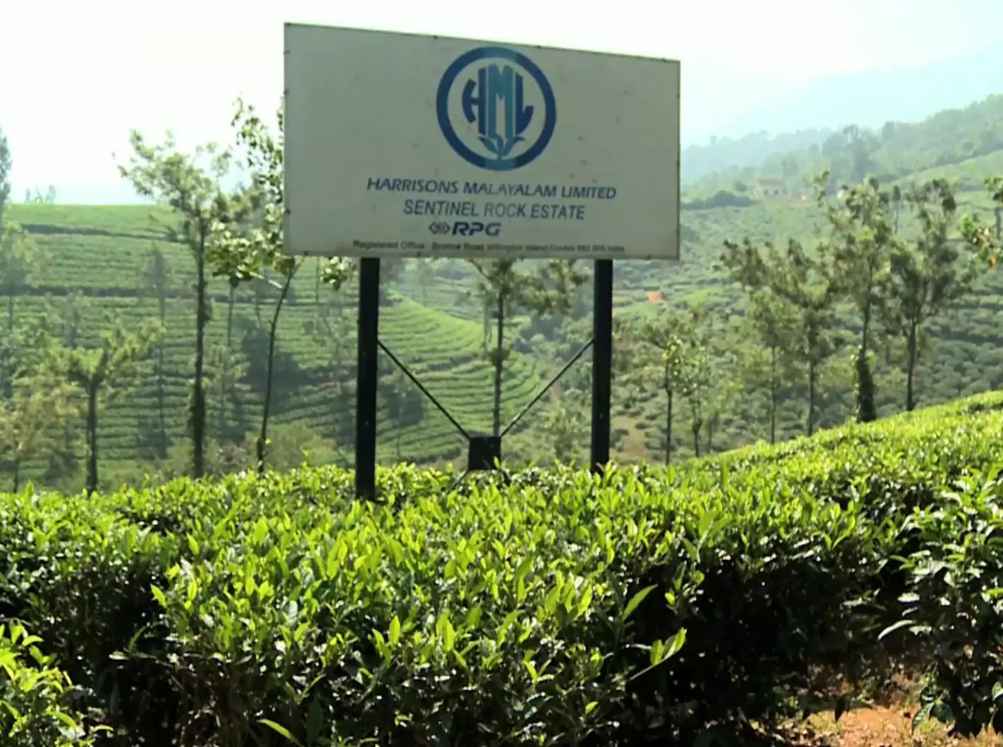 ഹാരിസണ്‍ കേസ് നടത്തിപ്പില്‍ സര്‍ക്കാര്‍ വരുത്തിയത് ഗുരുതര വീഴ്ച