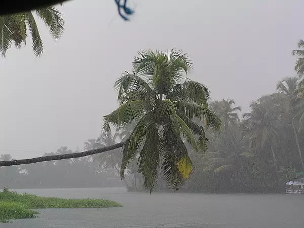 കേരളത്തില് കാലവര്ഷം 29നെത്തും കേരളത്തില് കാലവര്ഷം 29നെത്തും