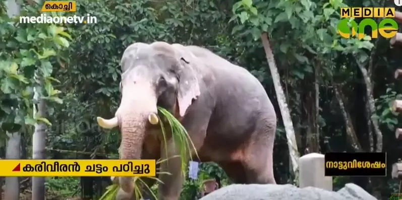 ഒന്പത് പേരുടെ ജീവനെടുത്ത പീലാണ്ടി ചട്ടം പഠിച്ച് പുറത്തിറങ്ങി ഒന്പത് പേരുടെ ജീവനെടുത്ത പീലാണ്ടി ചട്ടം പഠിച്ച് പുറത്തിറങ്ങി