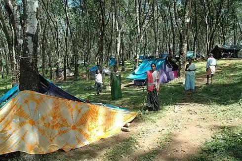 ചെങ്ങറക്കാര് ഇത്തവണയും വോട്ടര്പ്പട്ടികയ്ക്ക് പുറത്ത് ചെങ്ങറക്കാര് ഇത്തവണയും വോട്ടര്പ്പട്ടികയ്ക്ക് പുറത്ത്