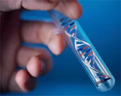 കുവൈത്തിലെ ഡിഎന്‍എ ഡാറ്റ ബാങ്ക് നിയമം വ്യക്തി സ്വാതന്ത്ര്യത്തെ ഹനിക്കുന്നതെന്ന് പഠനം