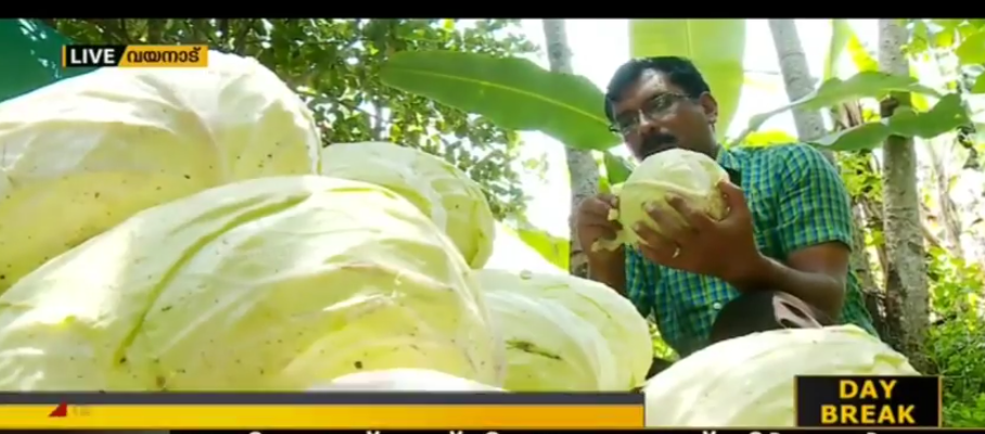 യുവകര്‍ഷകന്‍ വിപണി കണ്ടെത്താനാവാതെ വിഷമത്തില്‍