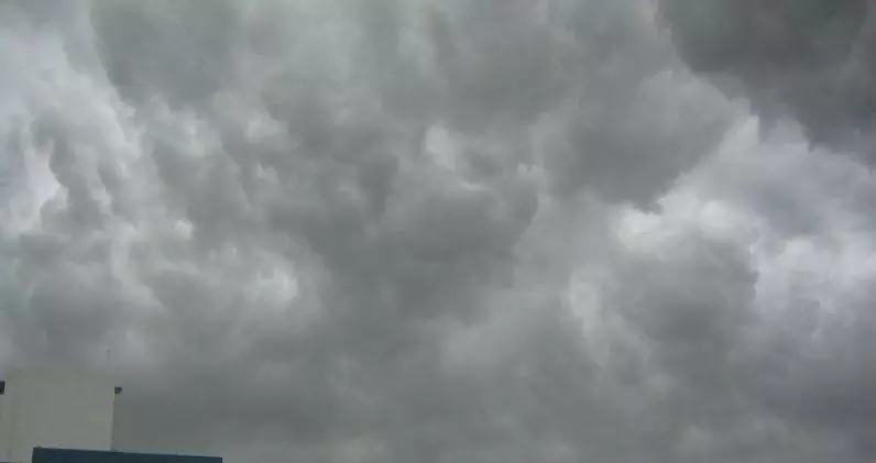 മണ്‍സൂണ്‍ മഴ കിട്ടാതെ വയനാട്ടിലും കാസര്‍ഗോഡും