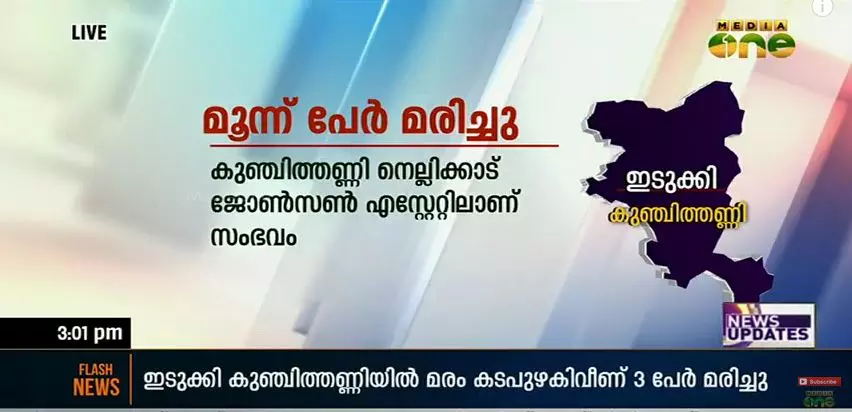 ഇടുക്കിയില്‍ മരം കടപുഴകിവീണ് മൂന്ന് പേര്‍ മരിച്ചു