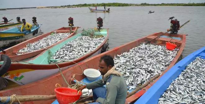 ജനങ്ങള്‍ക്ക് വിഷരഹിത മീന്‍, മത്സ്യത്തൊഴിലാളികള്‍ക്ക് ന്യായവില