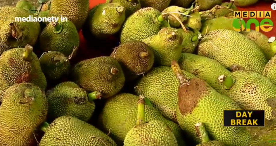 രുചിയുടെ ഇത്സവമൊരുക്കി ചക്ക മഹോത്സവം