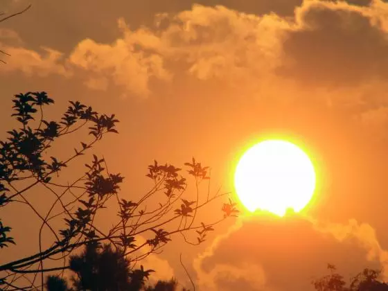 തിരുവനന്തപുരം കലക്ടറുടെ ഉത്തരവ് ലംഘിച്ച് ക്ലാസുകള്‍ നടത്തിയ സ്കൂളിനെതിരെ നടപടി