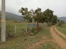 മദ്യപിച്ച് വാഹനമോടിച്ച ഡ്രൈവര്‍മാര്‍ പിടിയില്‍