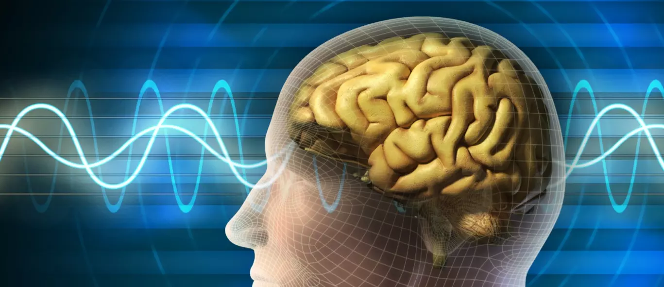 തലച്ചോറിന്റെ ആരോഗ്യ സംരക്ഷണത്തിന് പത്തു മാര്‍ഗങ്ങള്‍