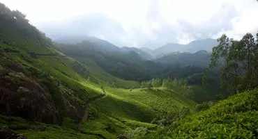 വയനാടിന്റെ പരിസ്ഥിതി നാശത്തിന്റെ കാരണങ്ങള്‍ തേടി ജില്ലാഭരണകൂടവും സര്‍ക്കാരും