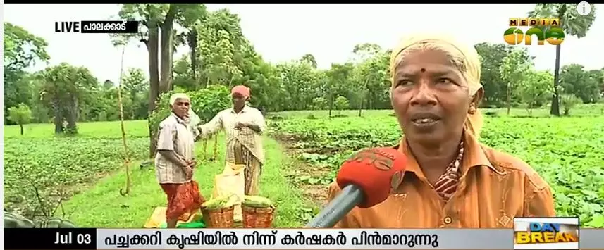 ജലക്ഷാമം പച്ചക്കറികൃഷിയെ ബാധിച്ചു; പണിയില്ലാതെ കര്‍ഷകതൊഴിലാളികള്‍