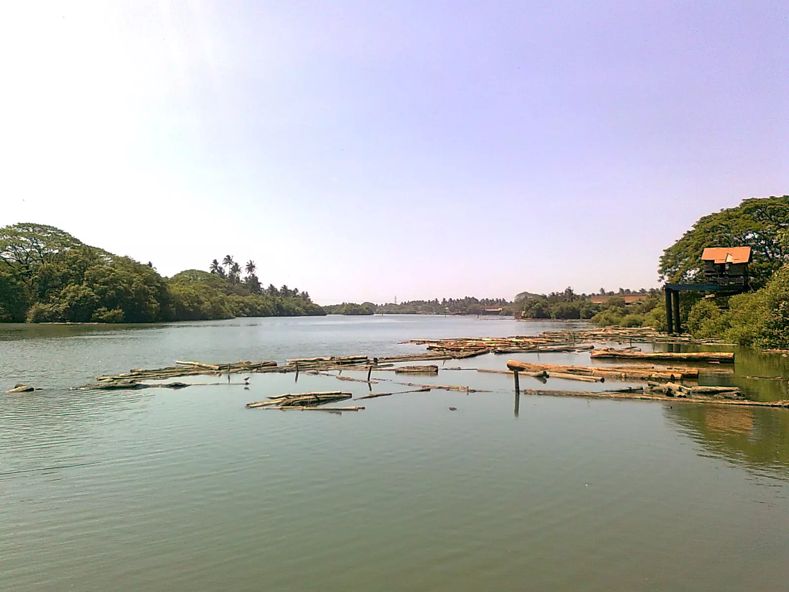 കല്ലായിപ്പുഴ നവീകരണപദ്ധതി എങ്ങുമെത്തിയില്ല