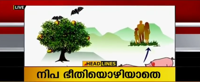 നിപ വൈറസ് ബാധ: എയിംസിലെ വിദഗ്ധ സംഘം ഇന്ന് ‌കോഴിക്കോട്ടെത്തും