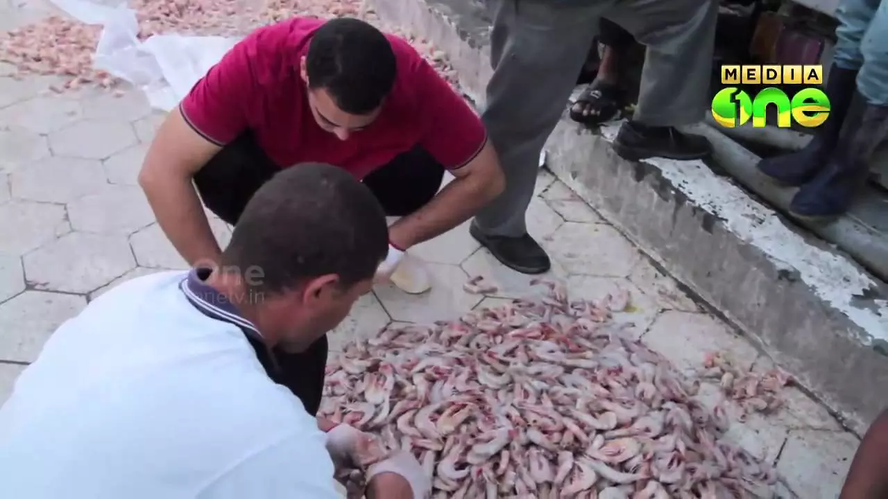 സൌദിയിലെ മത്സ്യ തൊഴിലാളികള്‍ നാളെ അര്‍ധരാത്രി കടലിറങ്ങും