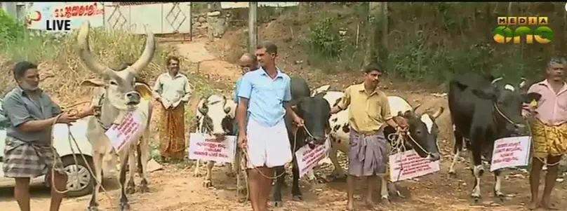 വെള്ളം തരൂ, വെള്ളം തരൂ: പ്രതിഷേധവുമായി മൃഗങ്ങൾ പഞ്ചായത്ത് ഓഫീസില്‍