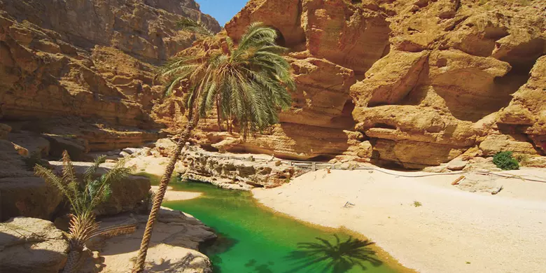 വിനോദസഞ്ചാരികളുടെ ഇഷ്ടകേന്ദ്രമായി വാദിഷാബ്