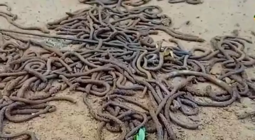 വനത്തോട് ചേര്ന്നുള്ള റിസോര്ട്ടുകള്ക്കെതിരെ പൊതുതാല്പര്യ ഹര്ജി വനത്തോട് ചേര്ന്നുള്ള റിസോര്ട്ടുകള്ക്കെതിരെ പൊതുതാല്പര്യ ഹര്ജി