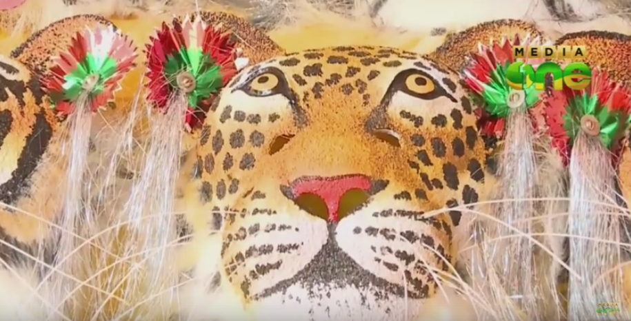 പുലിക്കളിക്കായി പൂരനഗരി ഒരുങ്ങുന്നു