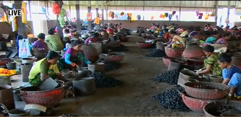 സ്വകാര്യ കശുവണ്ടി ഫാക്ടറികള്‍ ഓണത്തിന് മുന്‍പ് തുറക്കില്ല