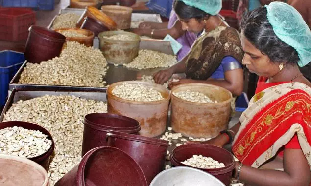 സ്വകാര്യ കശുവണ്ടി ഫാക്ടറികളിലെ തൊഴിലാളികള്ക്ക് 8500 രൂപ ബോണസ് സ്വകാര്യ കശുവണ്ടി ഫാക്ടറികളിലെ തൊഴിലാളികള്ക്ക് 8500 രൂപ ബോണസ്