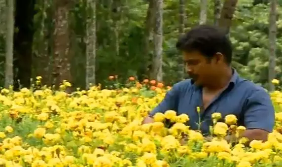 ഒരു നാടിന് പൂക്കളമിടാന്‍ പൂക്കളൊരുക്കി ഷെരീഫ്