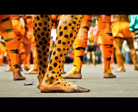 തൃശൂരിനെ വിറപ്പിക്കാന് ഇത്തവണ പെണ്പുലികള് തൃശൂരിനെ വിറപ്പിക്കാന് ഇത്തവണ പെണ്പുലികള്