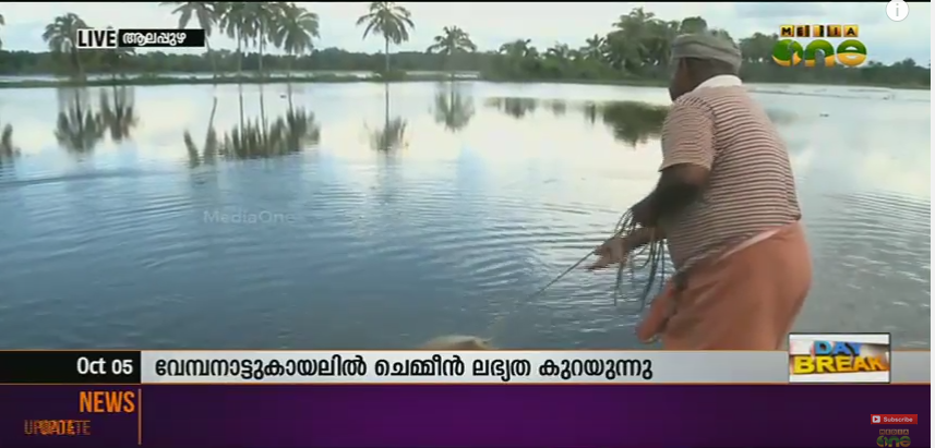 വേമ്പനാട്ടുകായലില്‍ കൊഞ്ചിന്റെ ലഭ്യതയില്‍ വന്‍കുറവ്