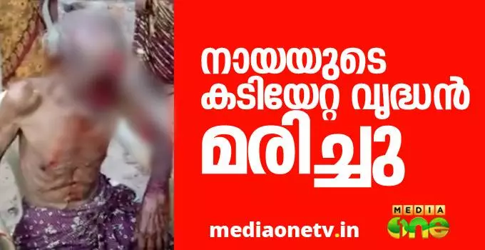 തെരുവുനായകളുടെ ആക്രമണത്തില്‍ ഗുരുതര പരിക്കേറ്റ വൃദ്ധന്‍ മരിച്ചു
